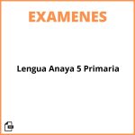 Examen Lengua Anaya 5 Primaria