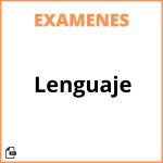 Examen De Lenguaje