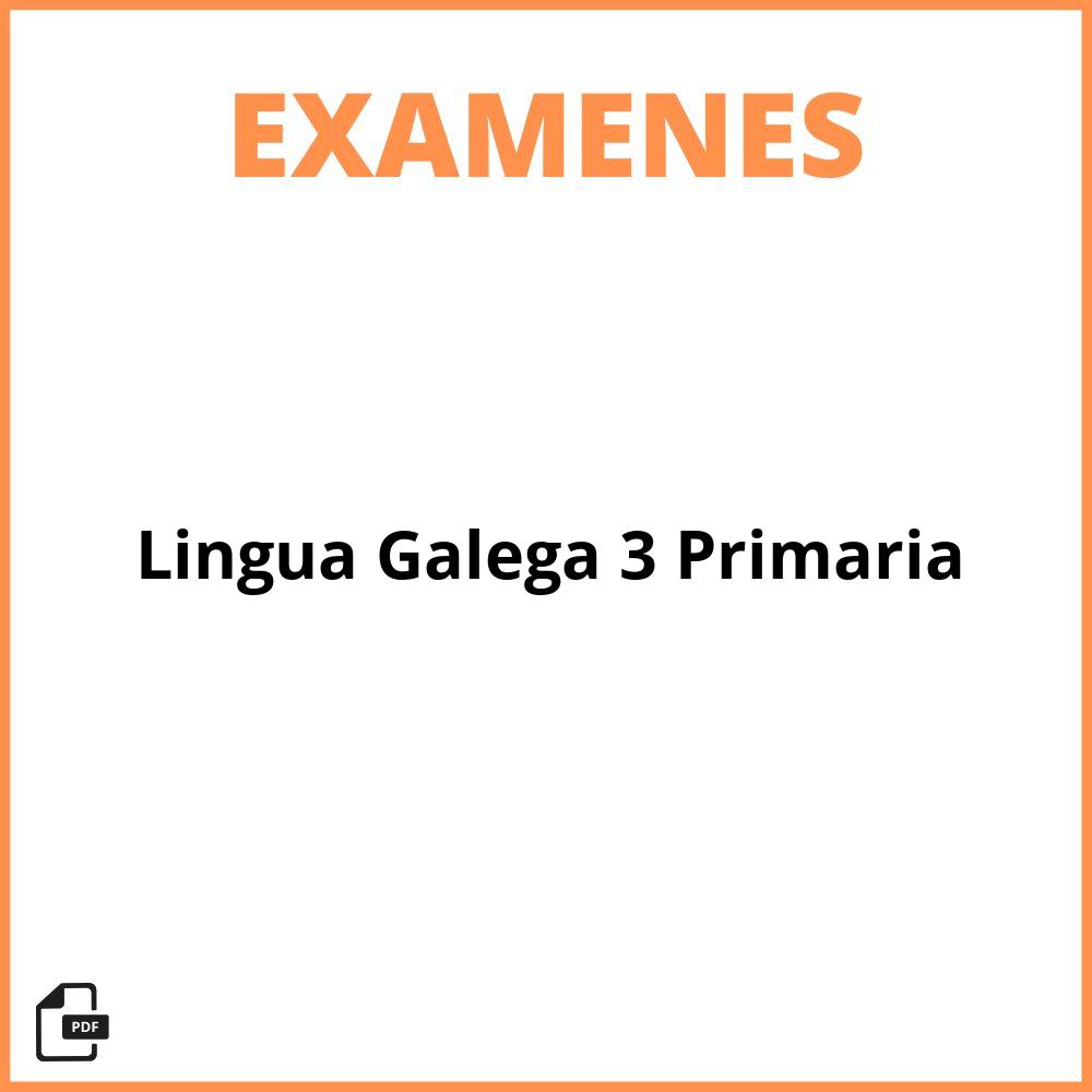 Examen Lingua Galega 3 Primaria