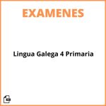 Examen Lingua Galega 4 Primaria