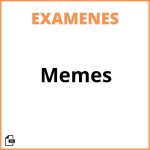 Memes Examen