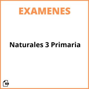 Examen De Naturales 3 Primaria