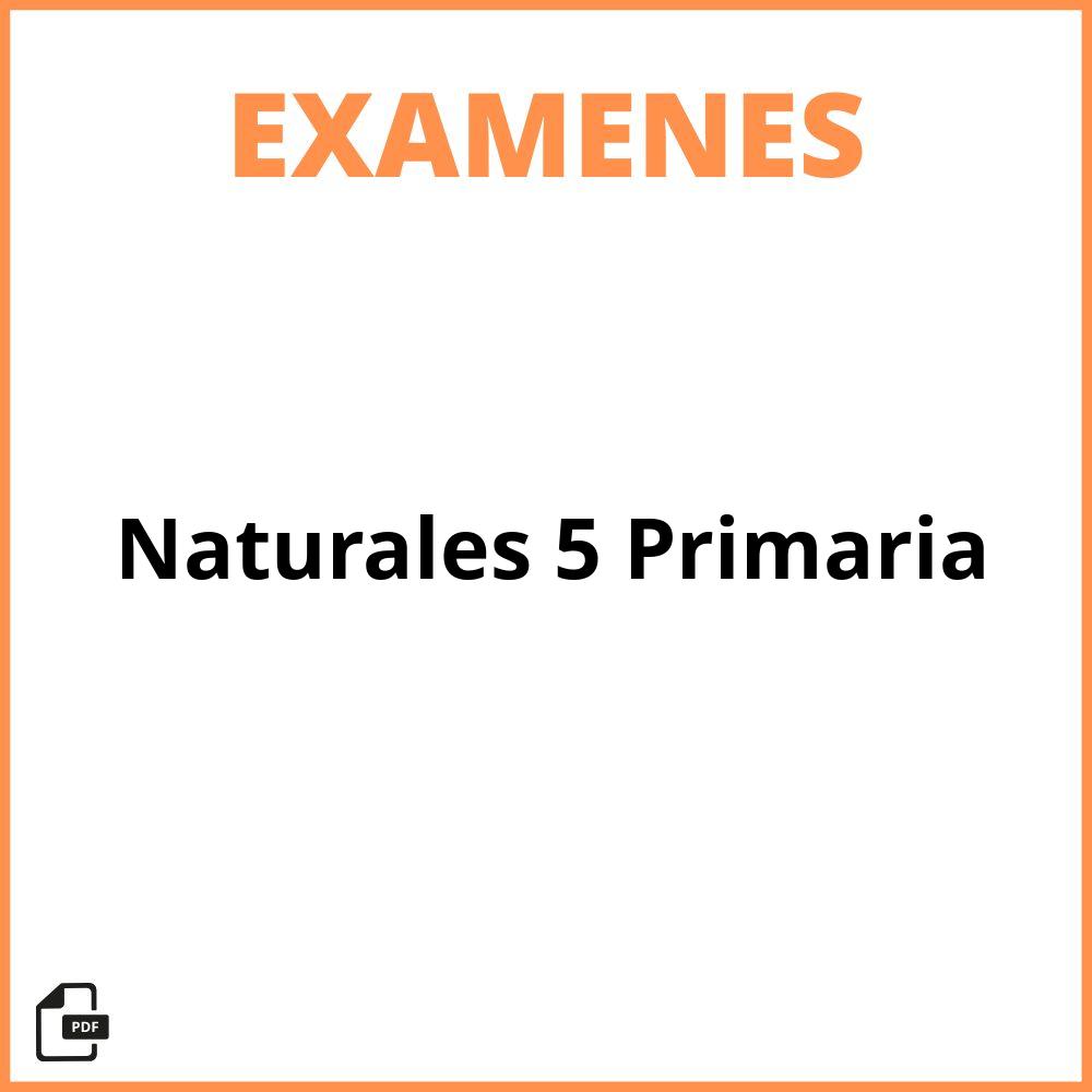Examen De Naturales 5 Primaria
