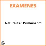 Examen Naturales 6 Primaria Sm