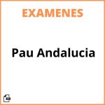 Examen Pau Andalucia