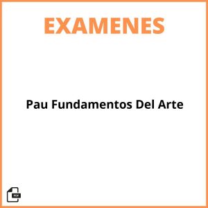 Examen Pau Fundamentos Del Arte