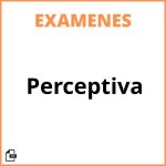 Evaluacion Perceptiva
