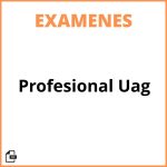 Examen Profesional Uag