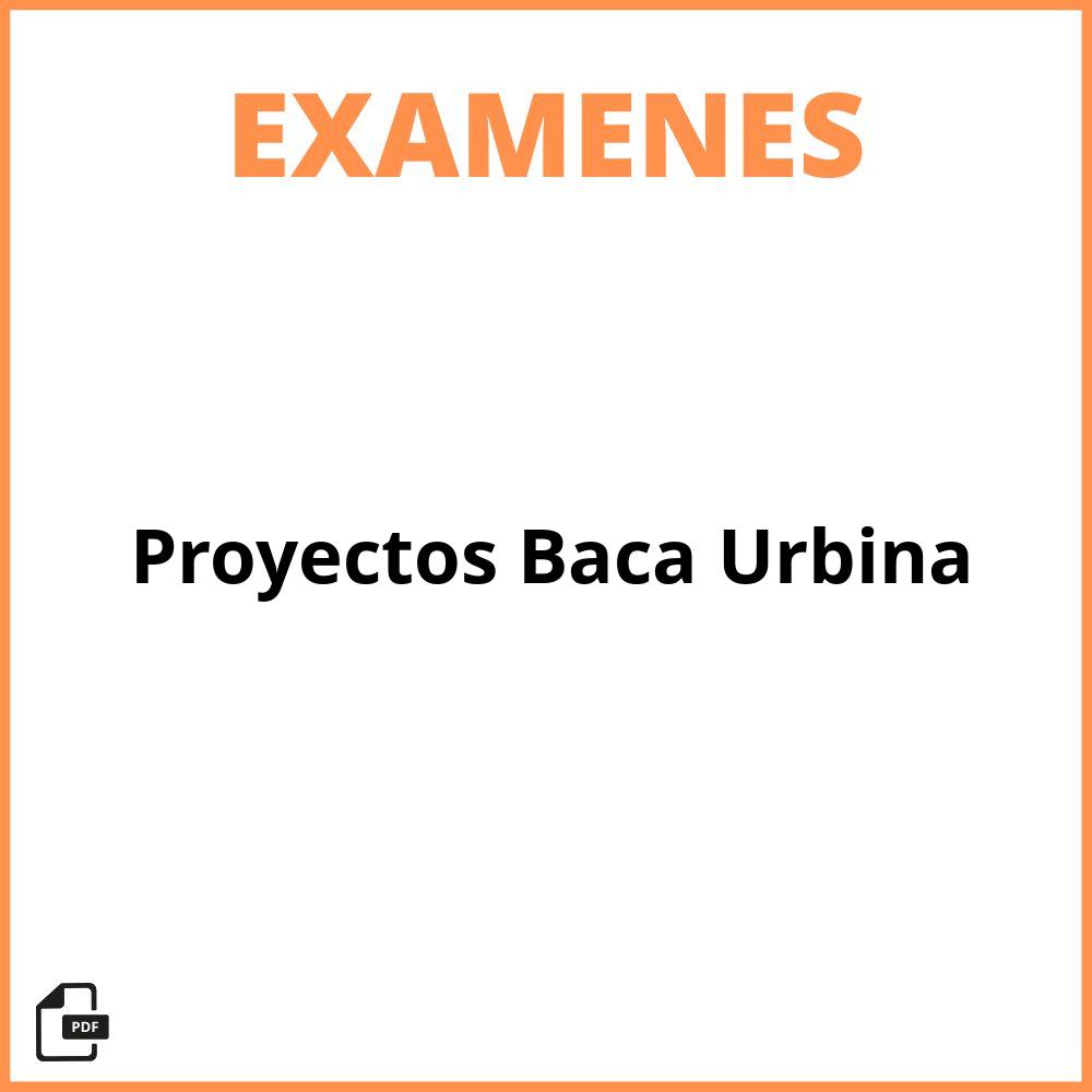 Evaluacion De Proyectos Baca Urbina Pdf