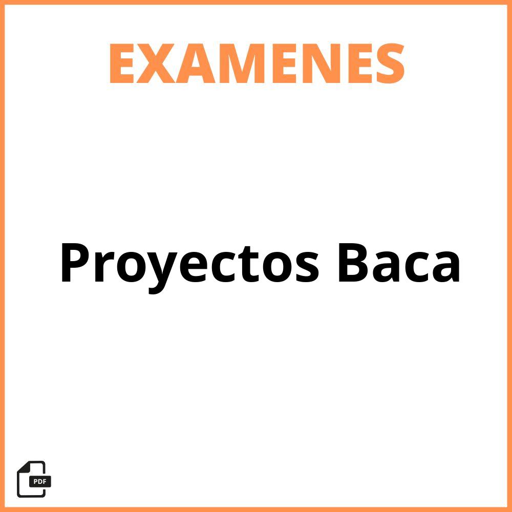 Evaluacion De Proyectos Baca