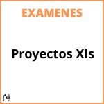 Evaluacion De Proyectos Xls
