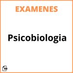 Examen Psicobiologia