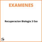 Examen Recuperacion Biologia 3 Eso