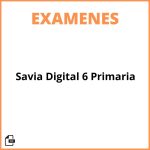 Examenes Savia Digital 6 Primaria