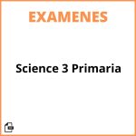 Examen Science 3 Primaria