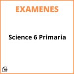 Examenes Science 6 Primaria
