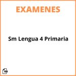 Exámenes Sm Lengua 4 Primaria Exámenes Sm Lengua 4 Primaria