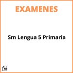 Sm Lengua 5 Primaria Examenes