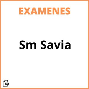 Evaluaciones Sm Savia