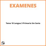 Examen Tema 10 Lengua 3 Primaria Sm Savia