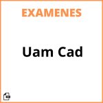 Examen Uam Cad