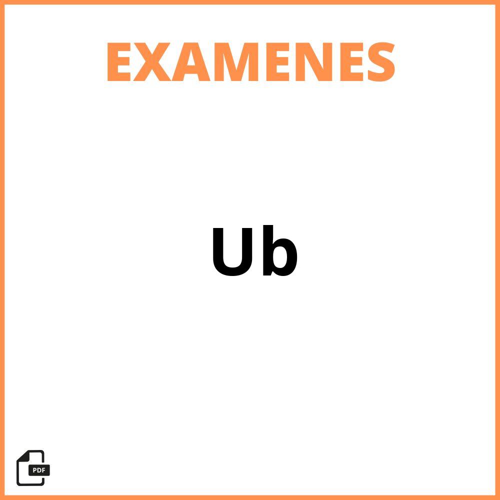 Examenes Ub 2024