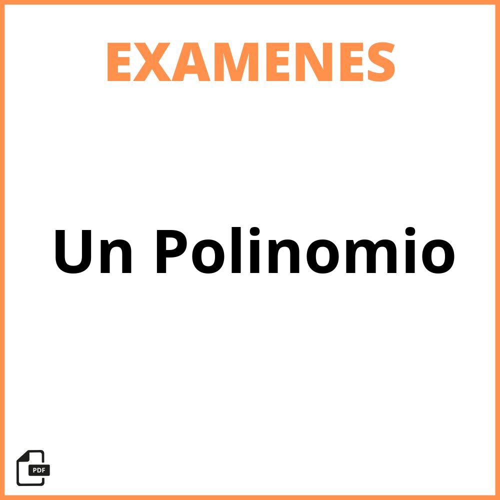 Evaluacion De Un Polinomio