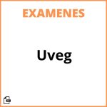 Examen Uveg