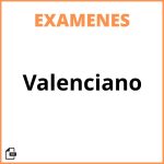 Examen De Valenciano